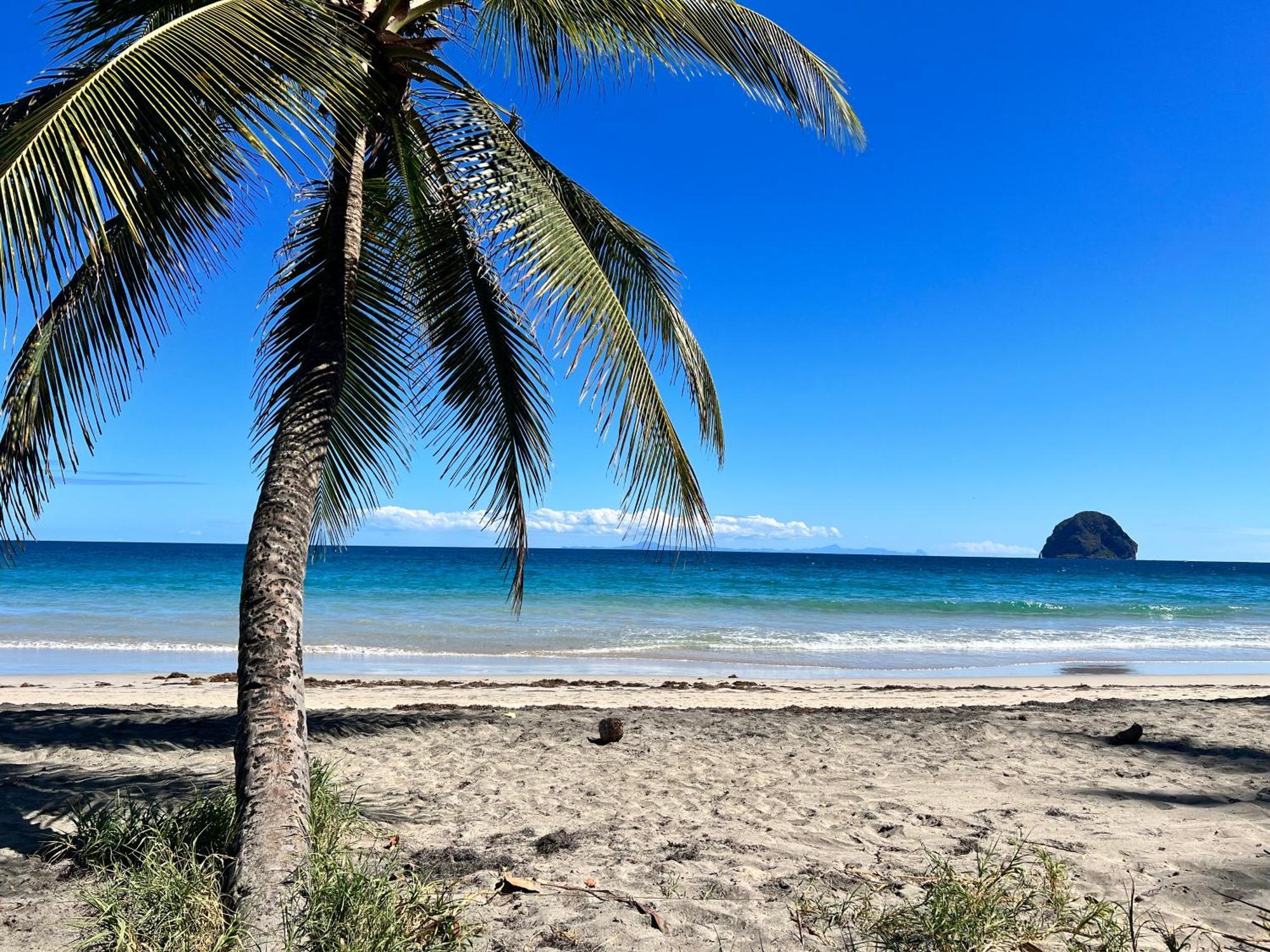 Face A La Plage Avec Parking Securise Appartement De Luxe Ou Suite Privee Avec Coin Petit Dej Selon Disponibilite Ле-Діаман Екстер'єр фото